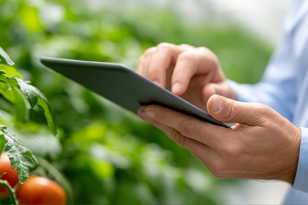 Hände halten Tablet in der Hand