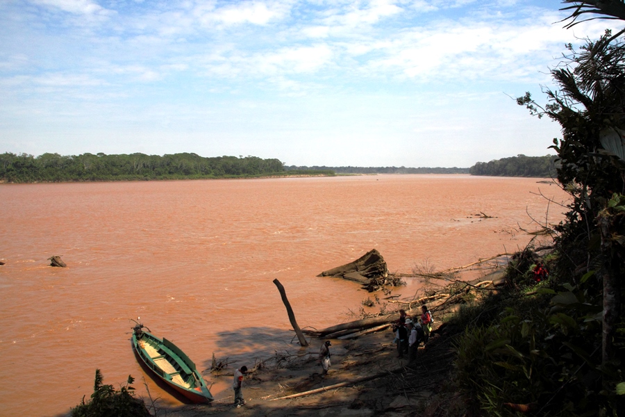 Blick über schlammfarbigen Fluss mit tropischer Vegetation am Ufer