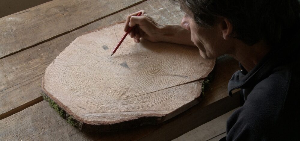 Mann zählt Jahresringe auf einer Baumscheibe