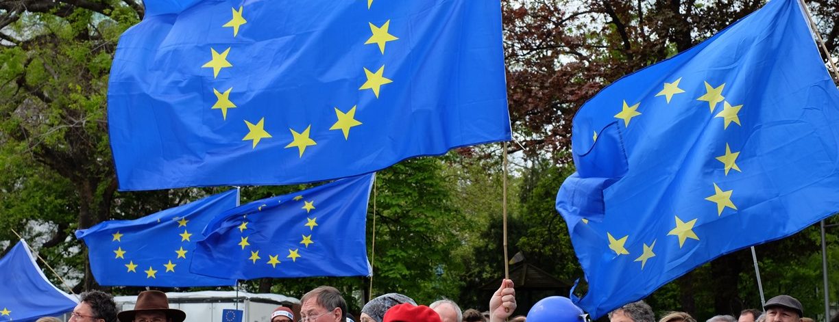 Viele Europafahnen werden von Menschen hochgehalten