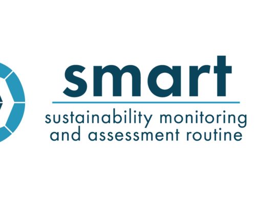 Schriftzug SMART