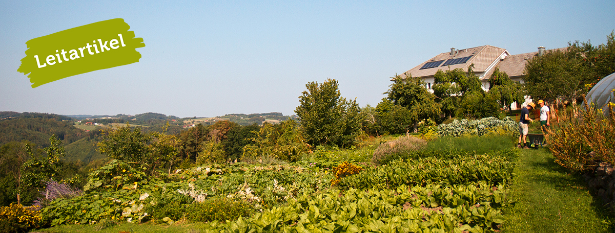 Blick über eine hügelige Landwirtschaft