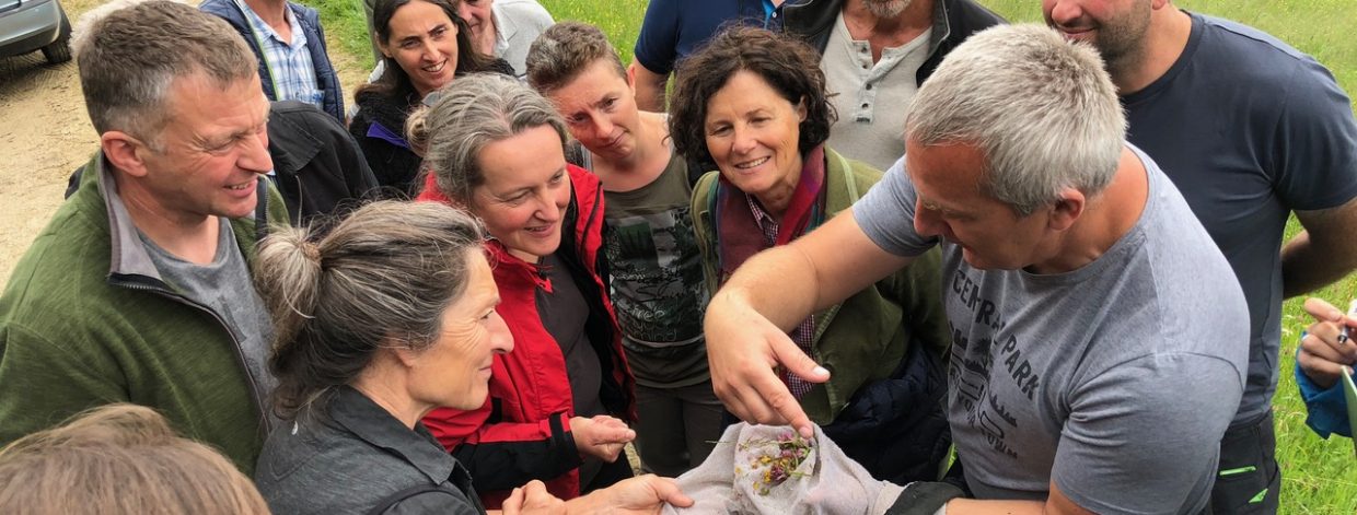 Mehrere Menschen stehen im Grünen und betrachten Pflanzen