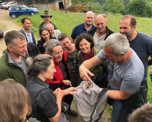 Mehrere Menschen stehen im Grünen und betrachten Pflanzen