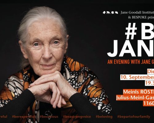 Einladung zu einem Abend mit Jane Goodall mit einem Porträt von ihr