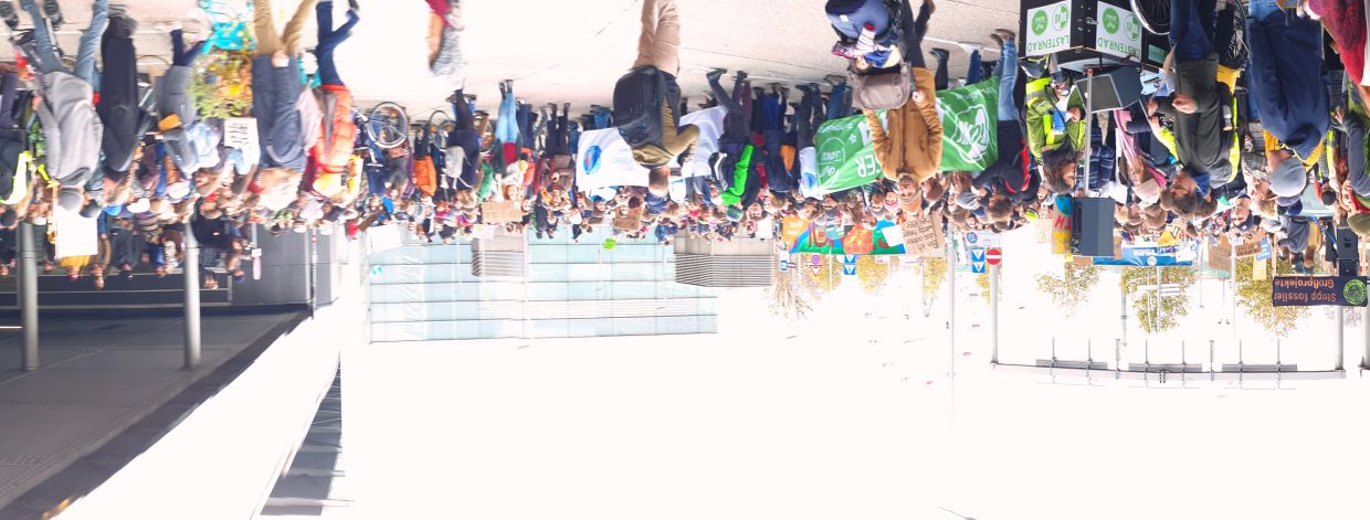 Blick über große Menschenmenge, die demonstriert