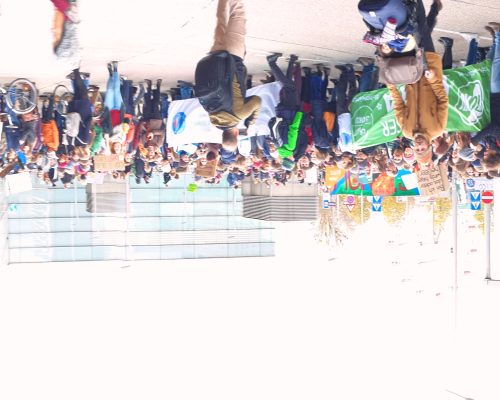 Blick über große Menschenmenge, die demonstriert