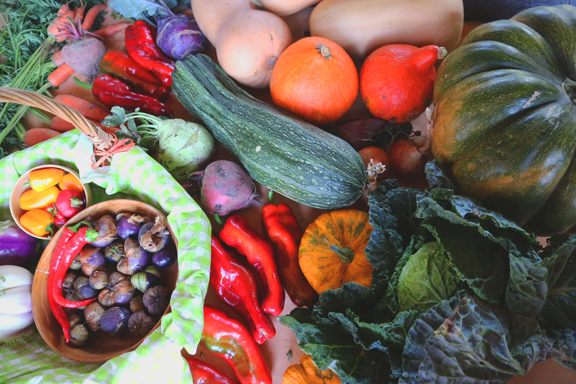 buntes Gemüse, Zuchini, Kürbis, Paprika und vieles mehr