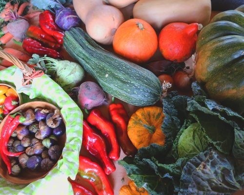buntes Gemüse, Zuchini, Kürbis, Paprika und vieles mehr