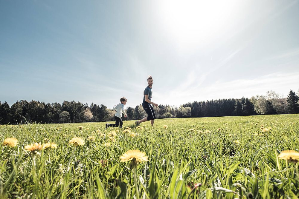 Kleiner Junge und sein Vater rennen über blühende Frühlingswiese, Heisterberg, Westerwald, Hessen, Deutschland.