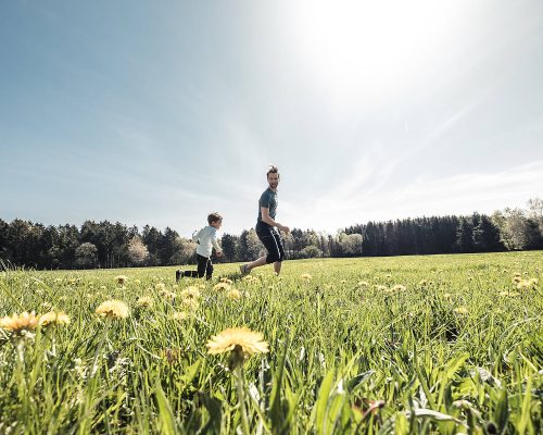 Kleiner Junge und sein Vater rennen über blühende Frühlingswiese, Heisterberg, Westerwald, Hessen, Deutschland.