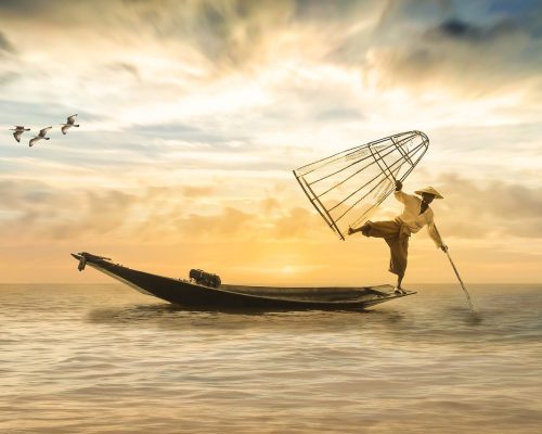 Burmesischer Fischer balanciert