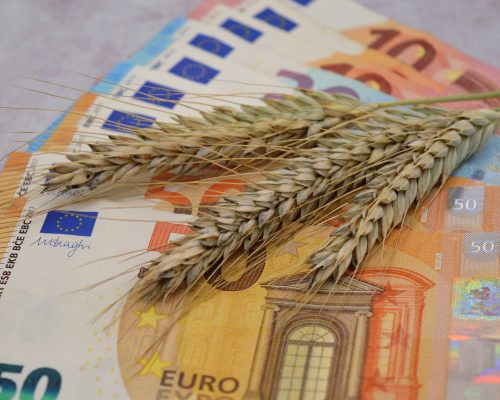 Weizenähren auf Eurogeldscheinen