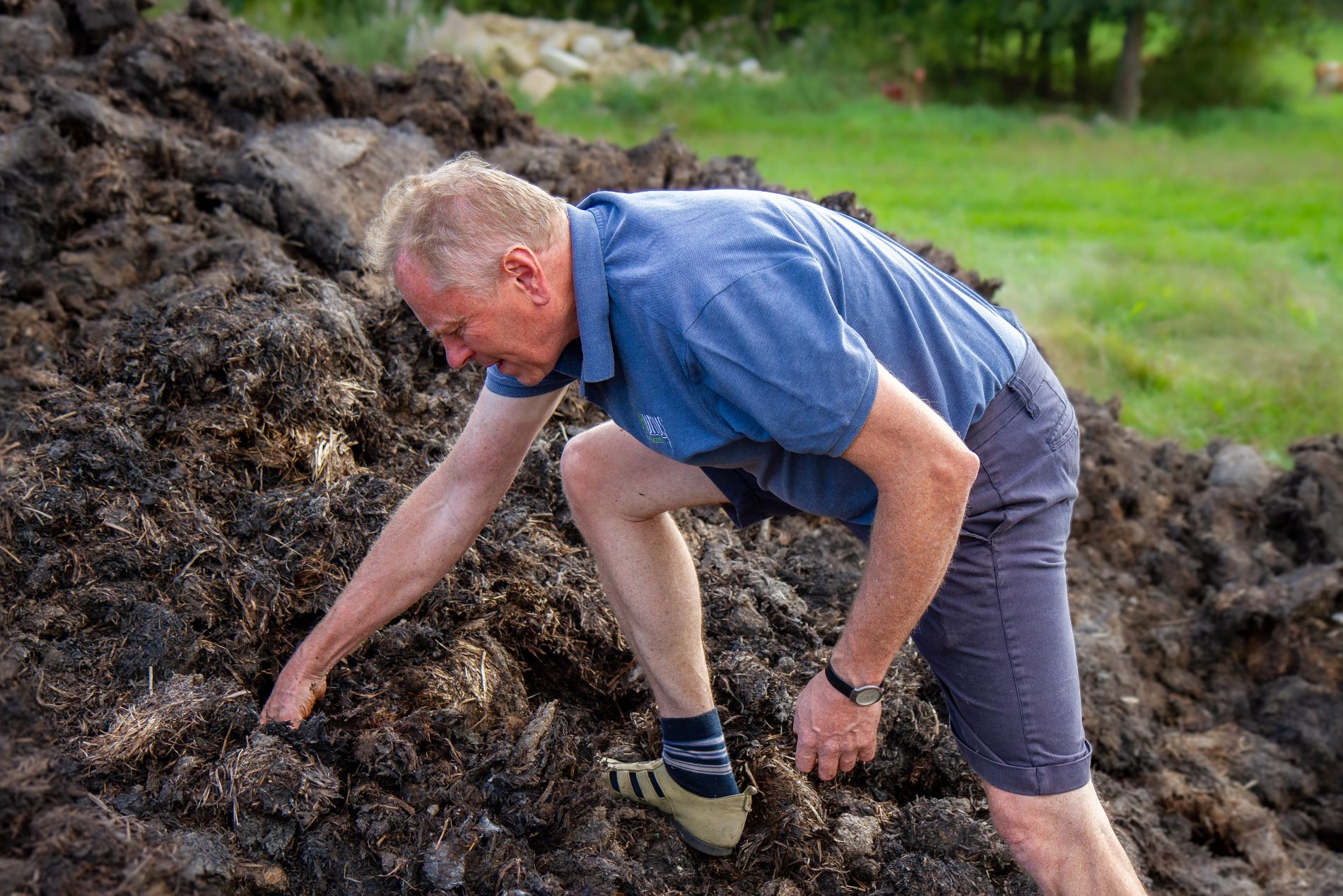 Mann bearbeitet Kompost