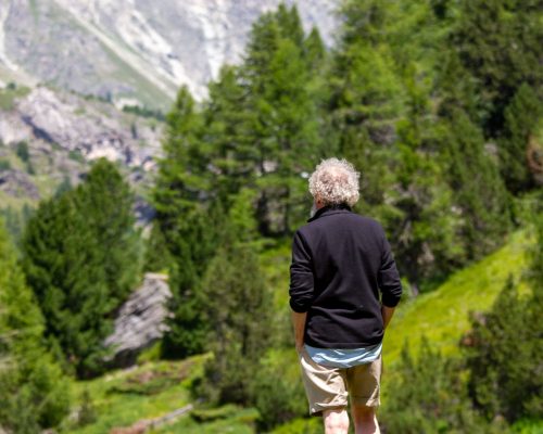 Werner Lampert Gebirsgwald