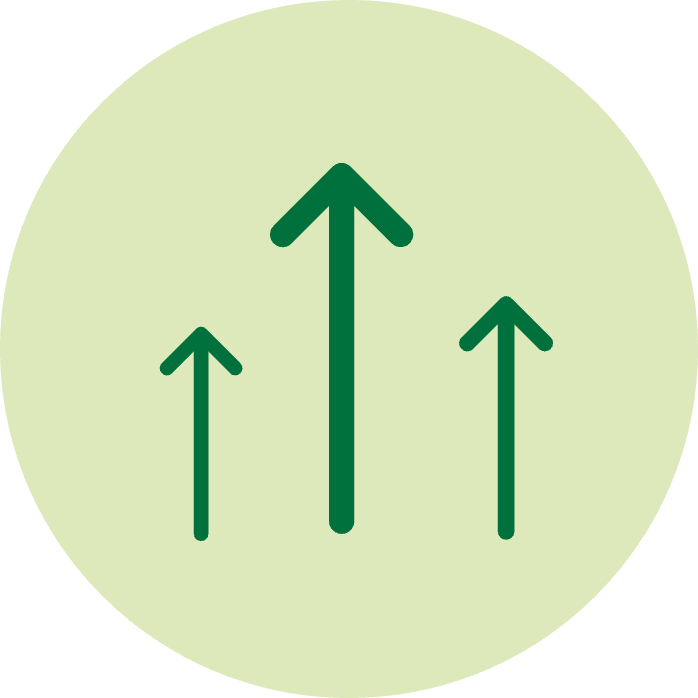 Icon Wettbewerbsvorteil